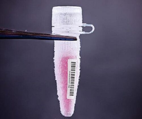 test tube low temperature resistant label