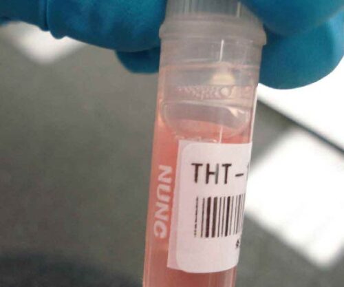thermal transfer tube label