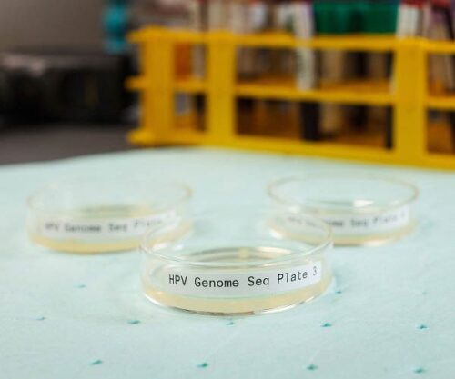 Petri Dishes Labels