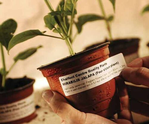 Horticultural Labels