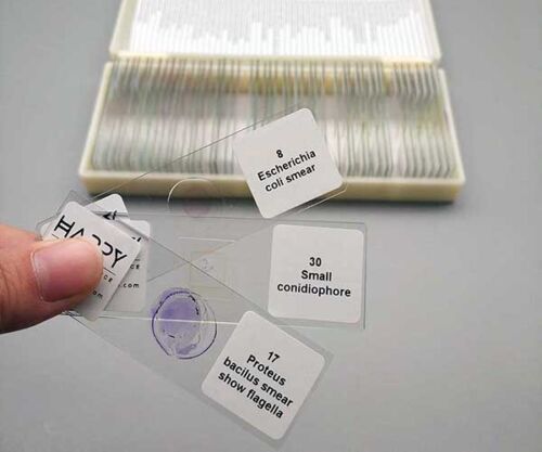 Microscope Slides Labels