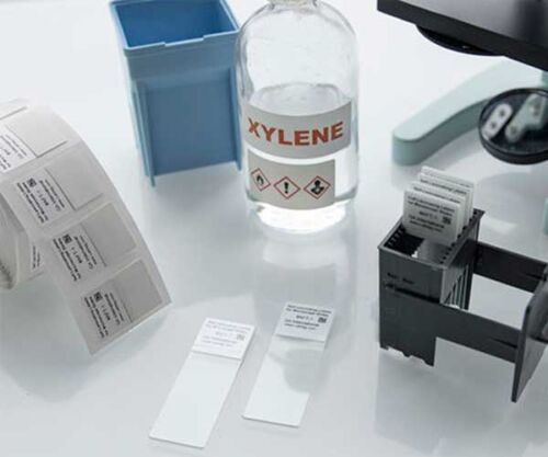 Xylene-resistant slide labels