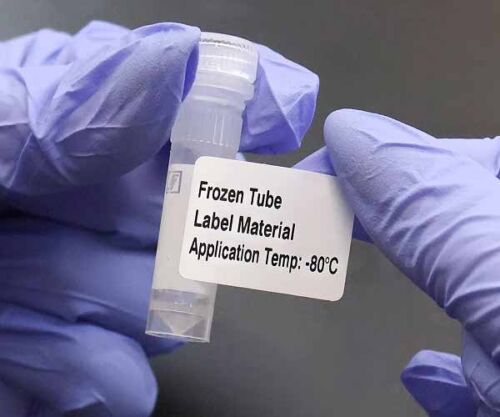-80℃ Cryogenic Storage Labels