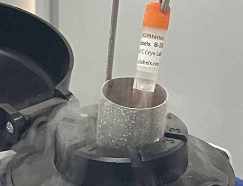 Liquid Nitrogen Cryogenic Tube Labels Unveiled: A Breakthrough in Sample Management