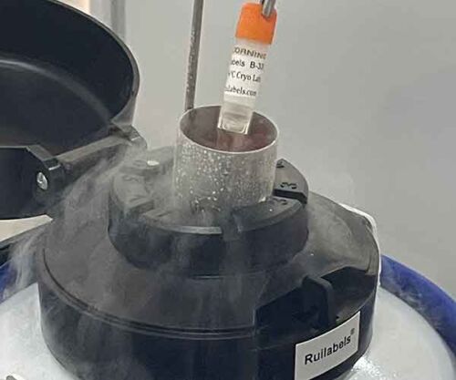 -196℃ Cryogenic Labels