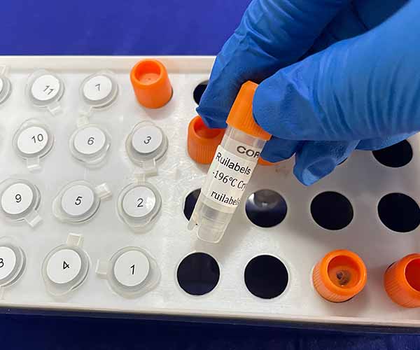 Laboratory Cryogenic Labels