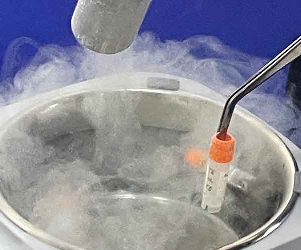 Liquid Nitrogen Labels